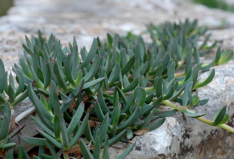 Сельский отель Agriturismo Iazzo Scagno