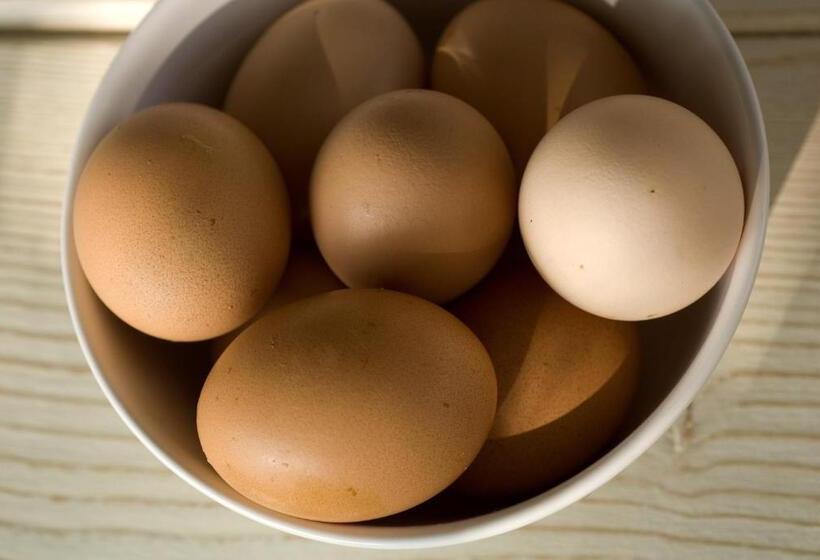 Сельский отель Agriturismo Iazzo Scagno