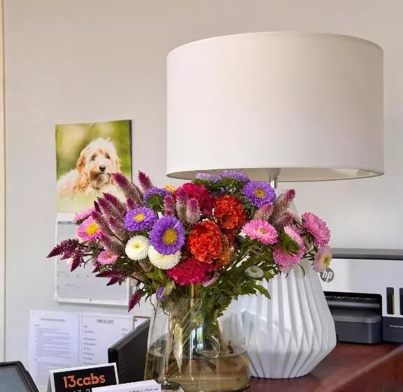 בית מלון כפרי Boulevard Lodge Bundaberg