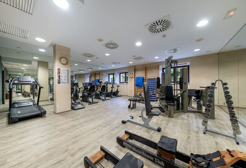 هتل Castilla Termal Olmedo