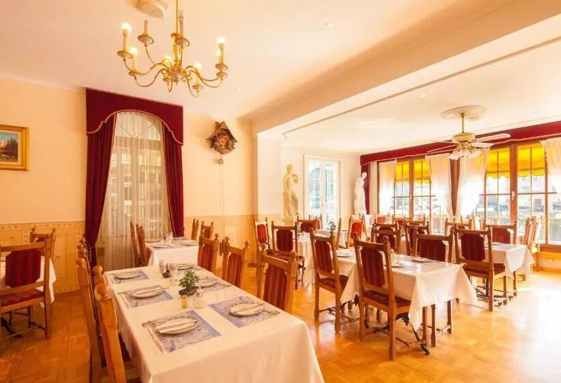 호텔 Centralcontinental