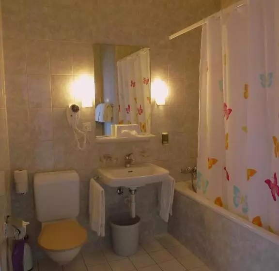 호텔 Centralcontinental