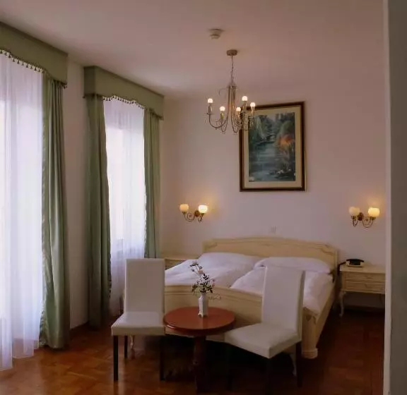 호텔 Centralcontinental