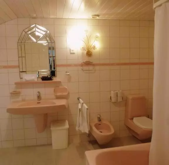 호텔 Centralcontinental