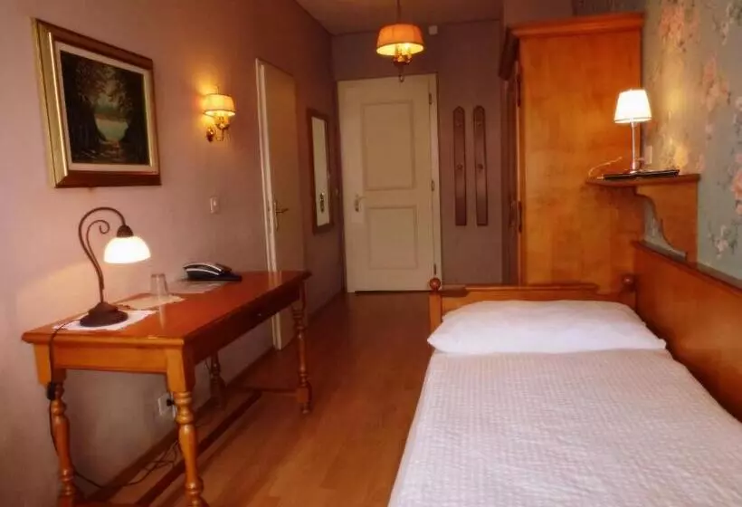 호텔 Centralcontinental