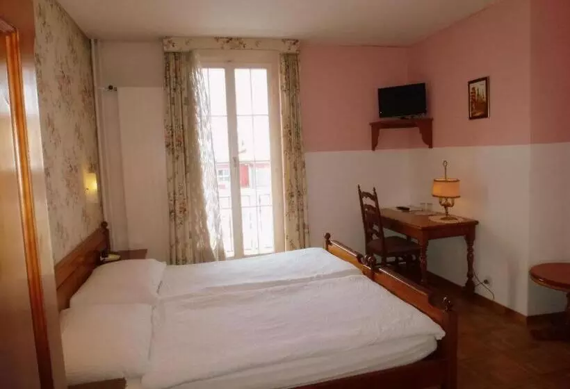 호텔 Centralcontinental