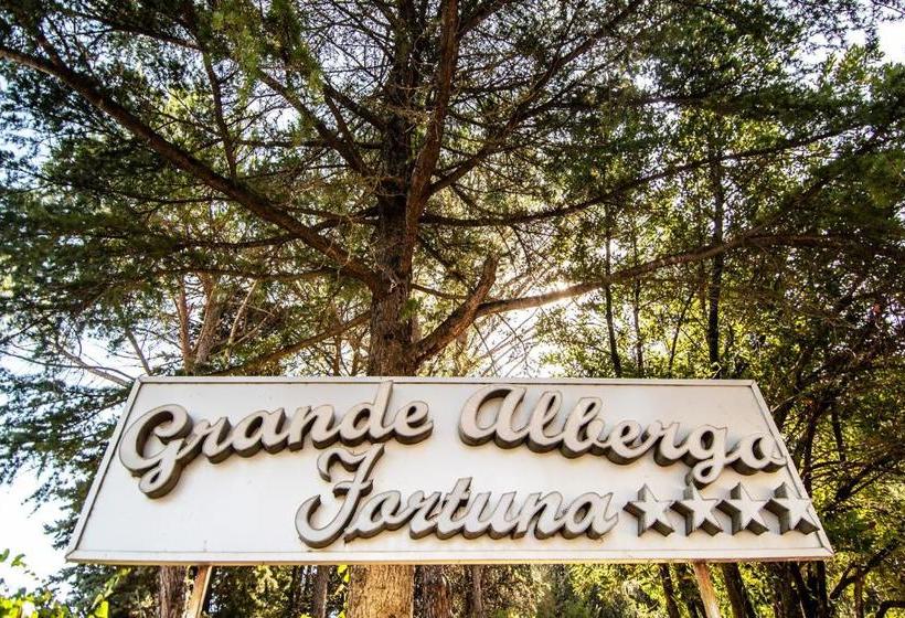 酒店 Fortuna Resort