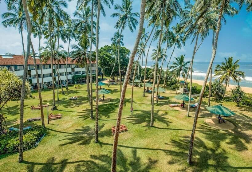 ホテル Tangerine Beach