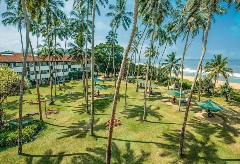 Отель Tangerine Beach