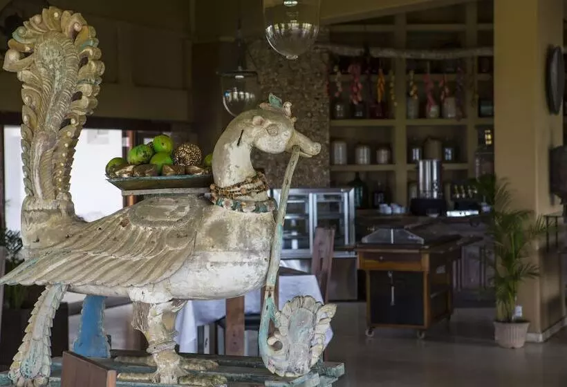 Отель Tangerine Beach