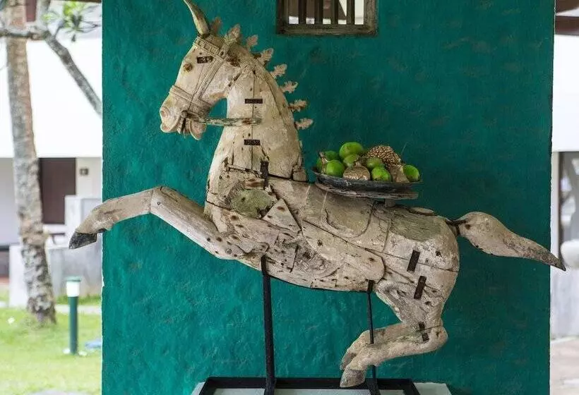 Отель Tangerine Beach