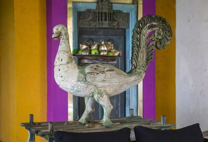 Отель Tangerine Beach