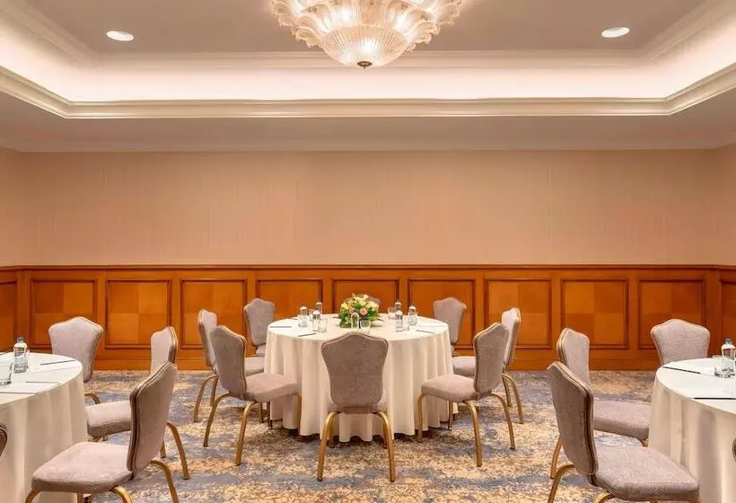 Hotel The Ritz Carlton, Istanbul At The Bosphorus