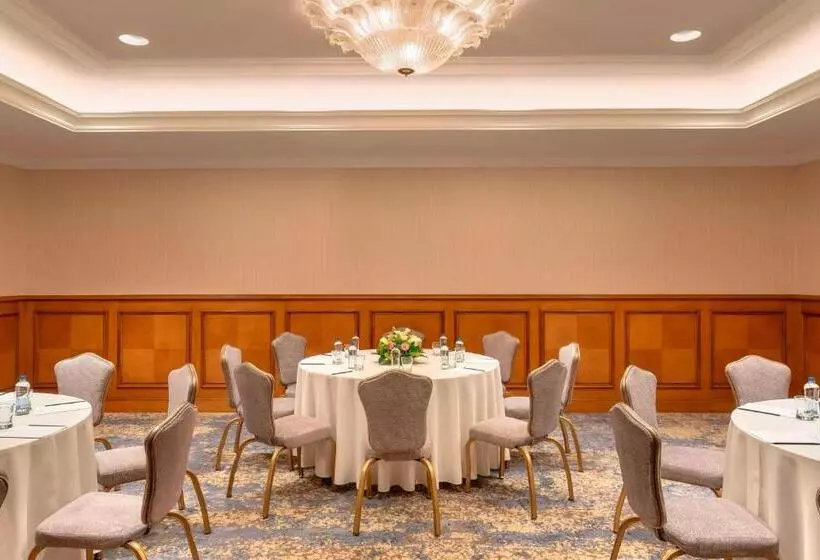 Hotel The Ritz Carlton, Istanbul At The Bosphorus