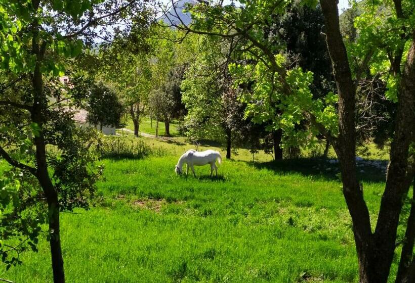 Agriturismo Colloreto