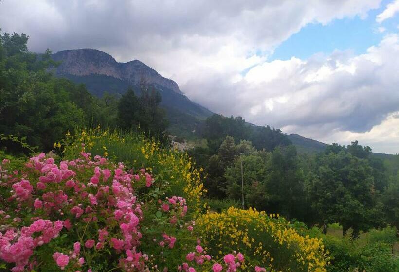 Agriturismo Colloreto