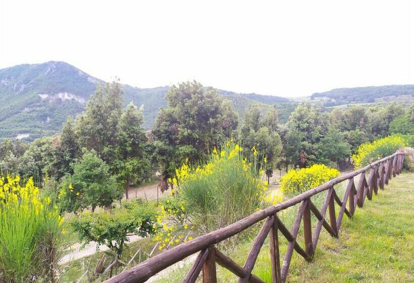 Agriturismo Colloreto