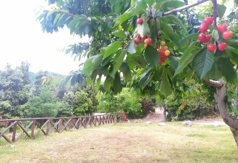 Agriturismo Colloreto