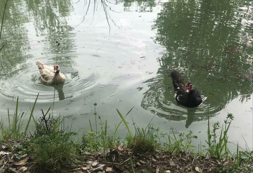 Agriturismo Colloreto