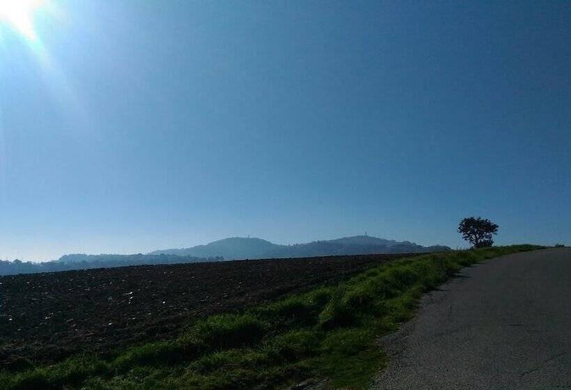 住宿加早餐 Casa Cairo Rooms&services