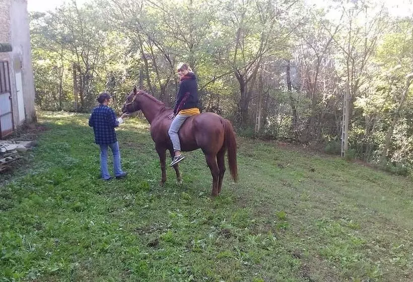 Aamiaismajoitus (B&B) Casa Cairo Rooms&services