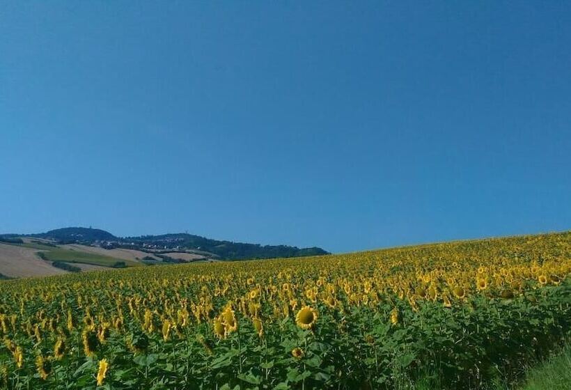 مبيت وإفطار Casa Cairo Rooms&services