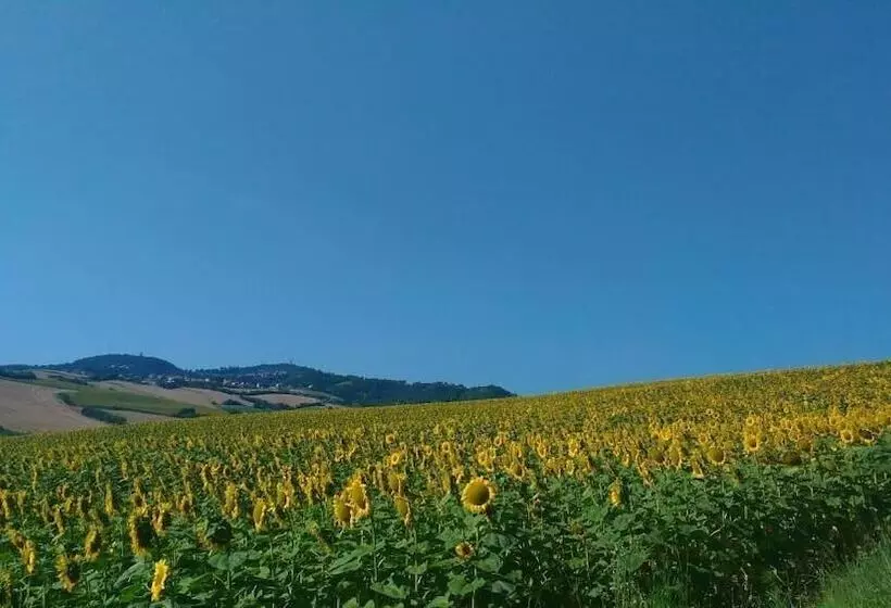 Aamiaismajoitus (B&B) Casa Cairo Rooms&services