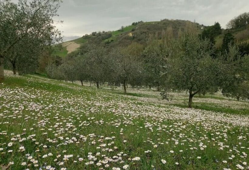 مبيت وإفطار Casa Cairo Rooms&services