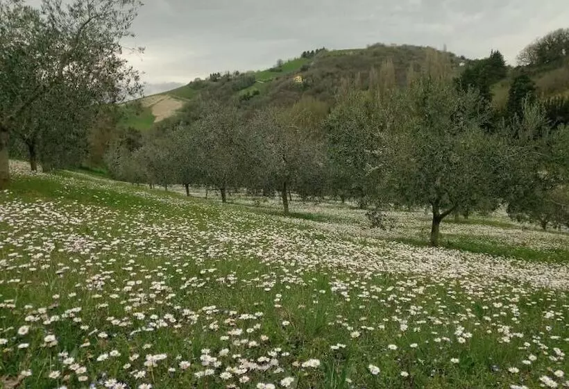 Aamiaismajoitus (B&B) Casa Cairo Rooms&services