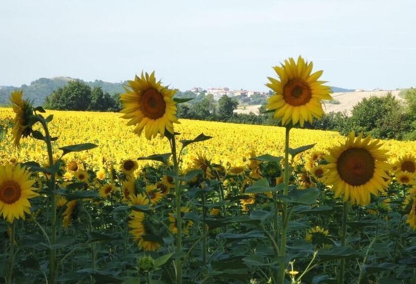 مبيت وإفطار Casa Cairo Rooms&services