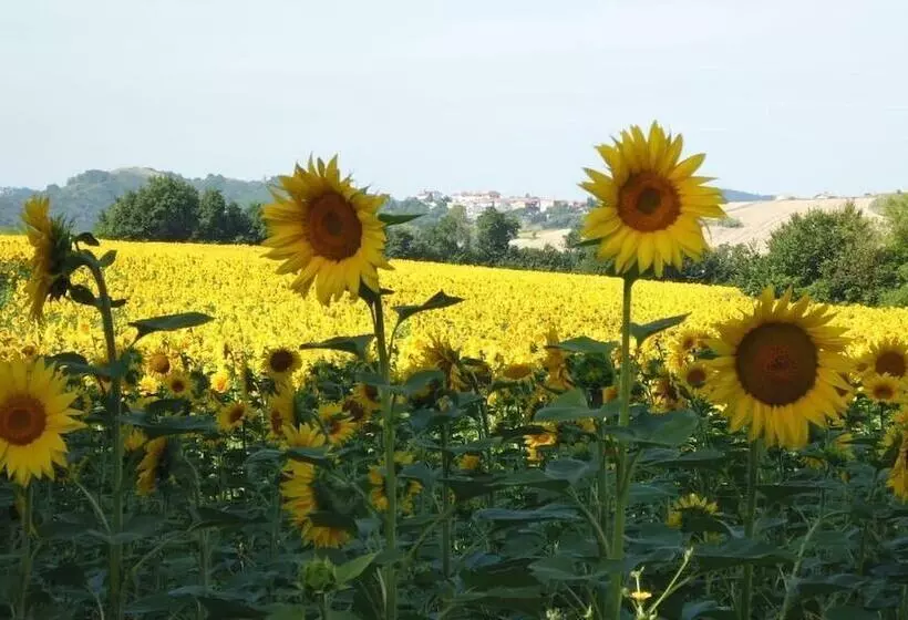 Aamiaismajoitus (B&B) Casa Cairo Rooms&services