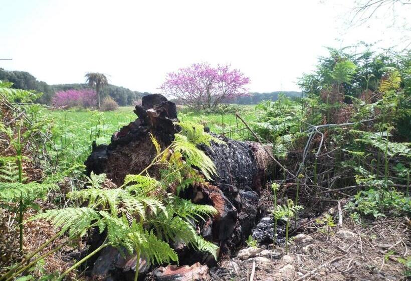 צימר Otranto Mare E Spiagge Otranto Mon Amour