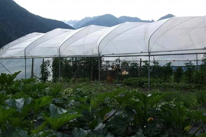 田舎風ホテル Agriturismo Casa Al Campo