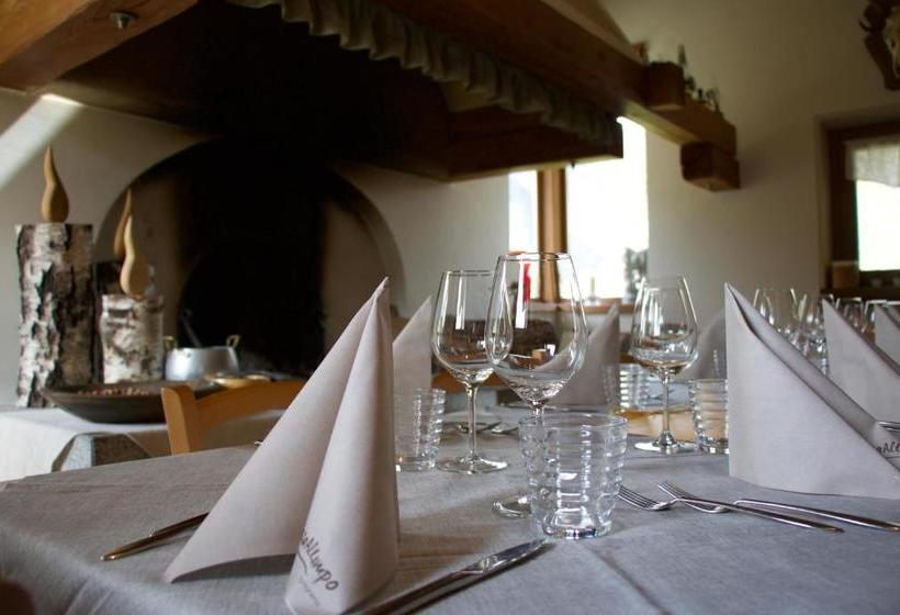 Сельский отель Agriturismo Casa Al Campo