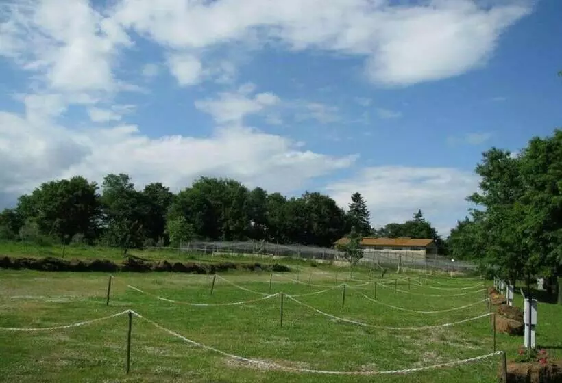 田舎風ホテル Agriturismo Il Vecchio Fienile