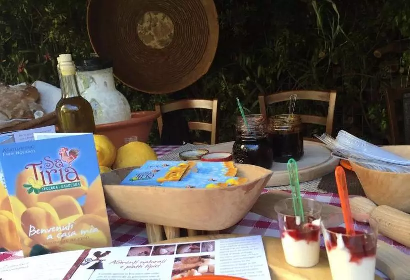 Agriturismo Sa Tiria