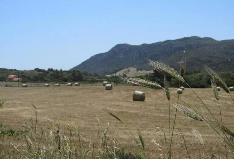 Agriturismo Sa Tiria