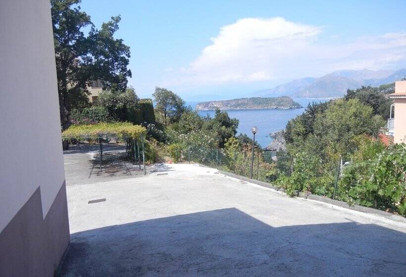 فندق Albergo Il Brillantino