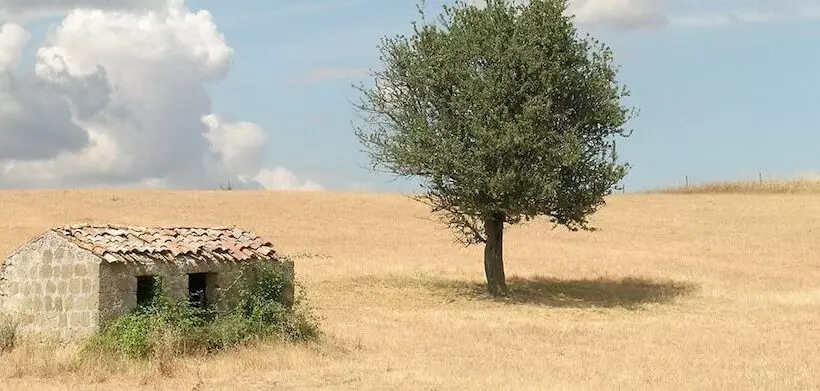 田舎風ホテル Poggio Del Castagno