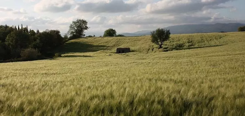 田舎風ホテル Poggio Del Castagno