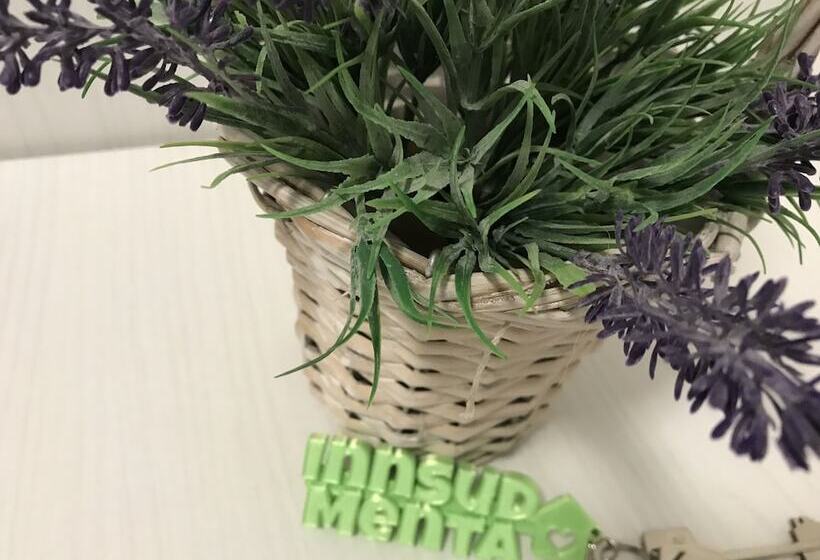 مبيت وإفطار Innsud