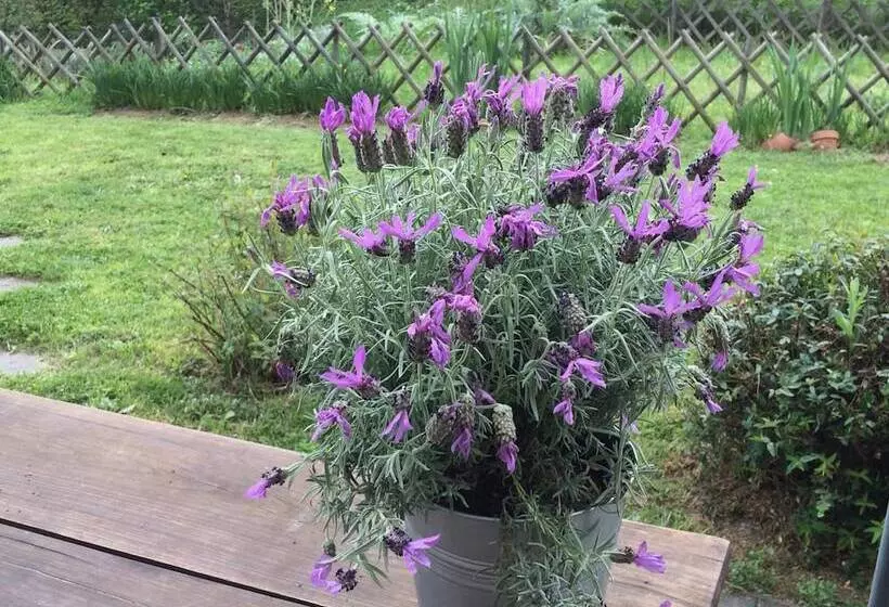 Il Giardino B&b