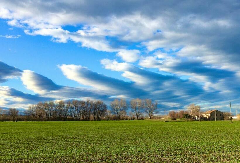 Pensão Mansarda Seaview