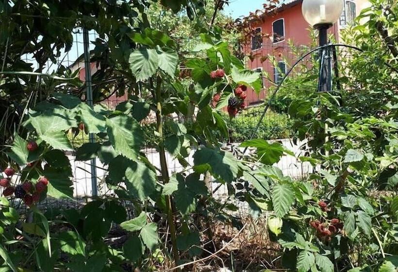 فندق ريفى Agriturismo Quadrifoglio Relax