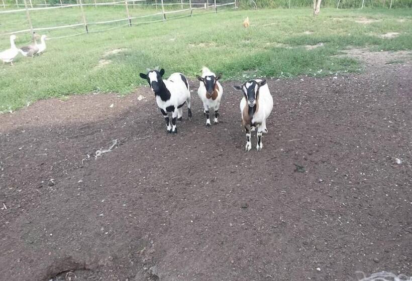 فندق ريفى Agriturismo Quadrifoglio Relax