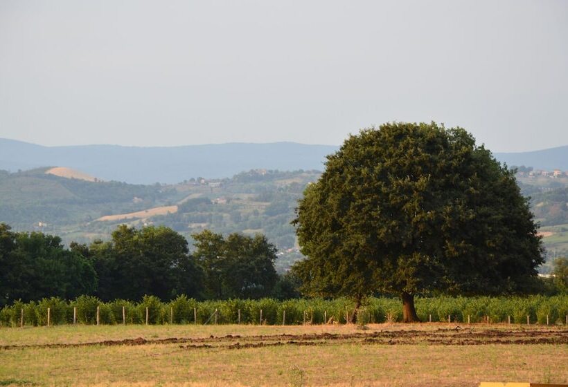 فندق ريفى Fattoria Lucciano