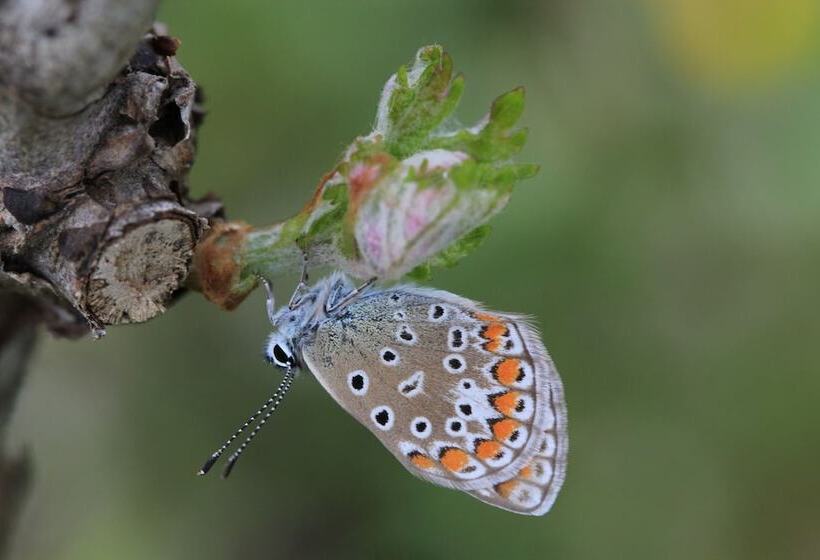 فندق ريفى Fattoria Lucciano