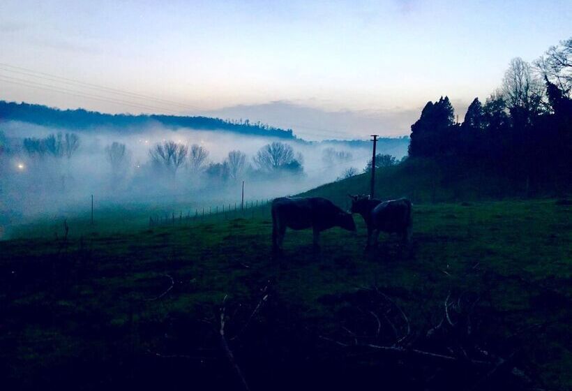 فندق ريفى Fattoria Lucciano