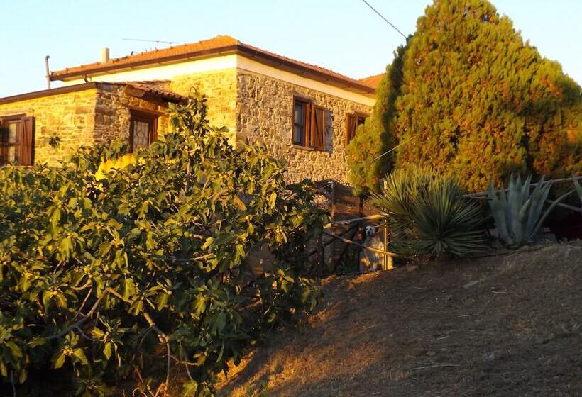 B&b Casale San Martino