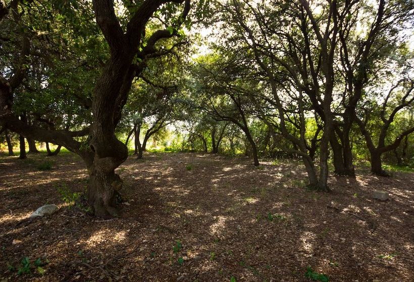 住宿加早餐 Masseria Poli